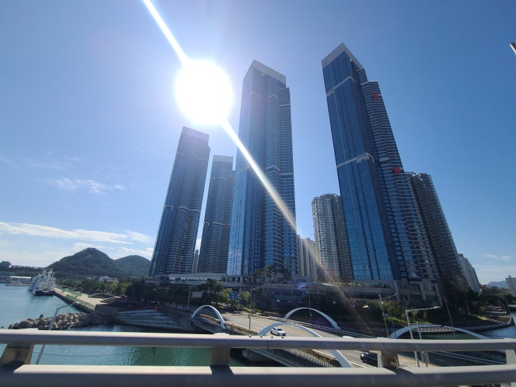  용호동 W(더블유) 아파트 매매 및 전세 월세 거래 현황 매물 접수
