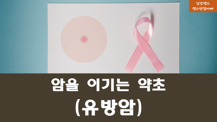 암의 원인 유방암에 좋은 약초 : 고추냉이, 더덕, 바위솔