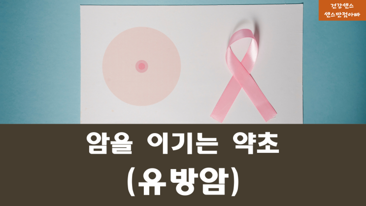  암의 원인 유방암에 좋은 약초 : 고추냉이, 더덕, 바위솔