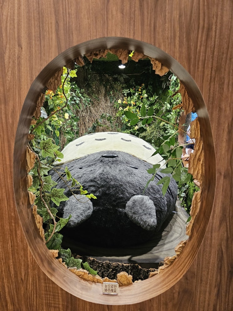  경기 수원 도토리숲