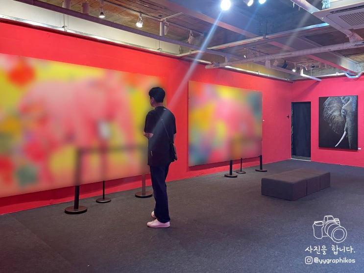  [서울시 종로구 인사동 전시] 인사동 코트 - 동물 없는 동물원전