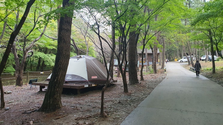  [서천 해송숲] 희리산자연휴양림 야영장에서 추석캠핑 (야영데크 리뷰)