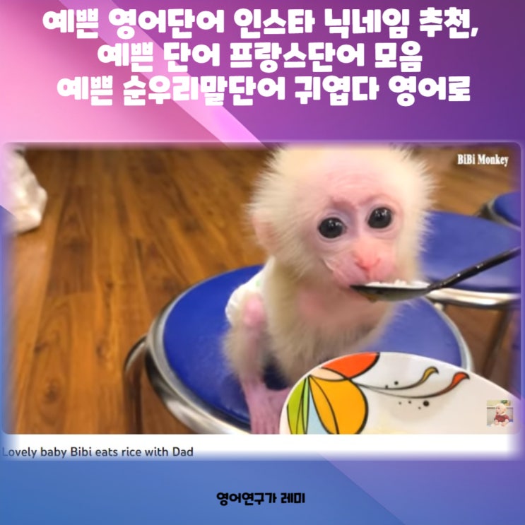 예쁜 영어단어 인스타 닉네임 추천, 예쁜 단어 프랑스단어 모음 예쁜 순우리말단어 귀엽다 영어로