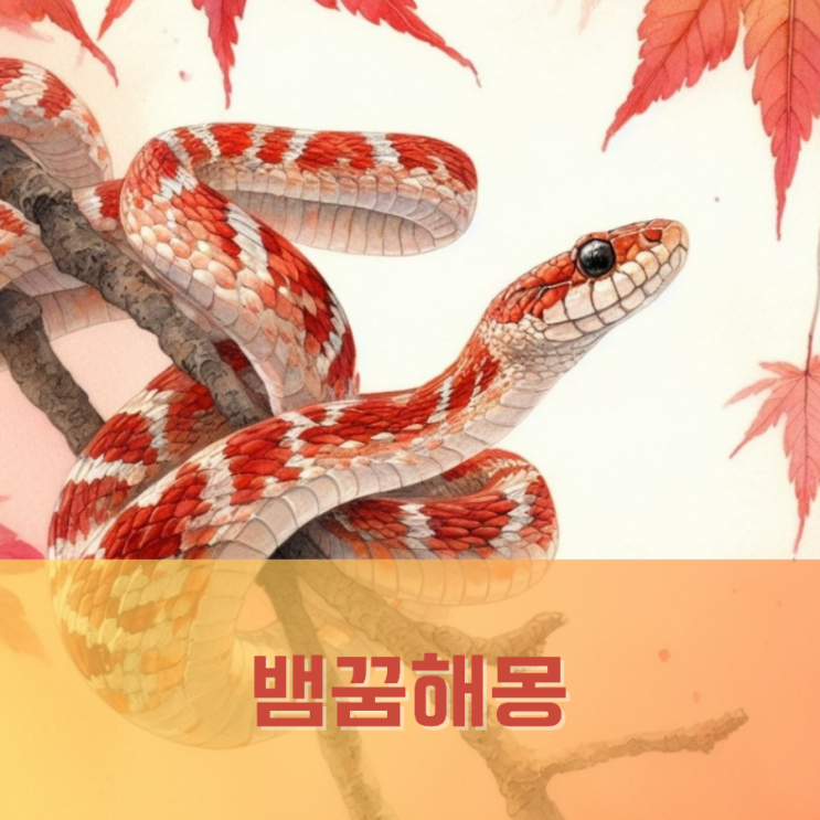  뱀나오는꿈 태몽 큰뱀 흰뱀꿈 해몽