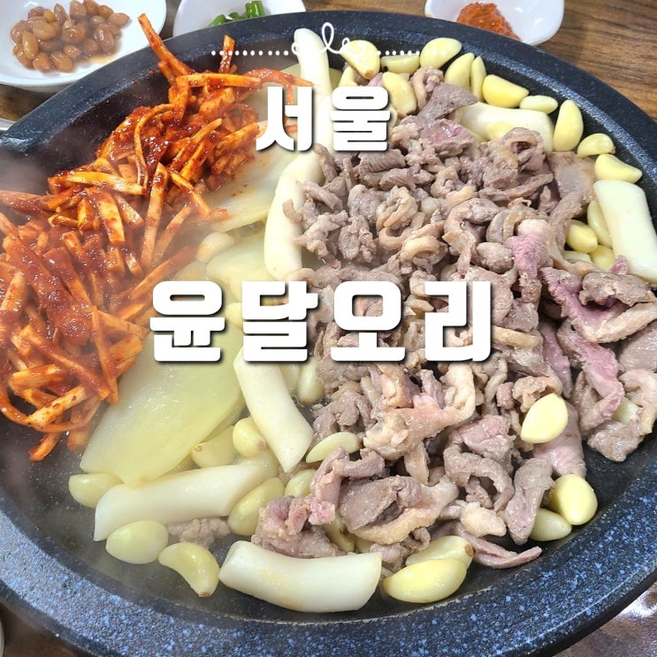  서울 영등포 맛집 내돈내산 추천, 윤달오리전문점 찐 로컬맛집!