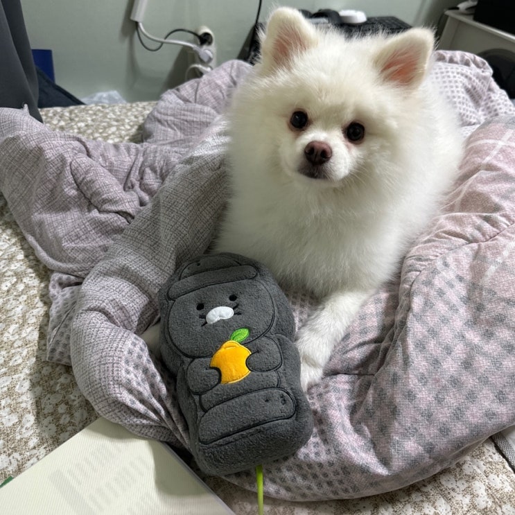  [룩또] 이번주 1088회 로또 무료당첨번호 조합 추천