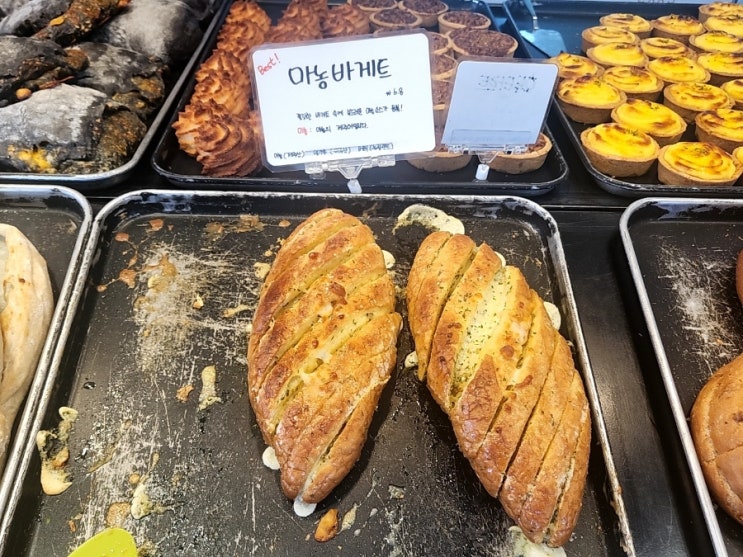  제주도 빵집 순례 마늘빵 맛집 오드랑베이커리