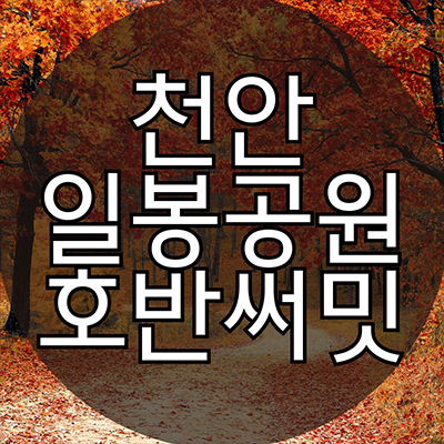 천안 일봉공원 호반써밋 미분양아파트 용곡지구 호반건설 용곡동 브랜드 줍줍 잔여세대 분양가격 견본주택