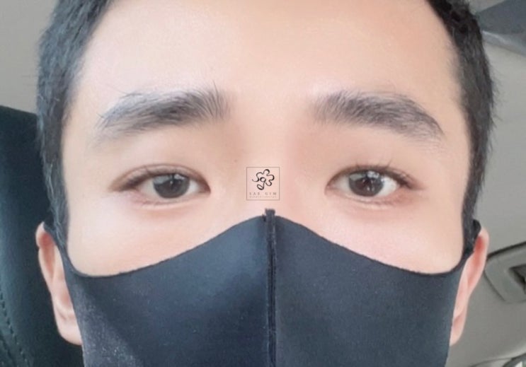  숱 많은 눈썹, 눈썹 반영구