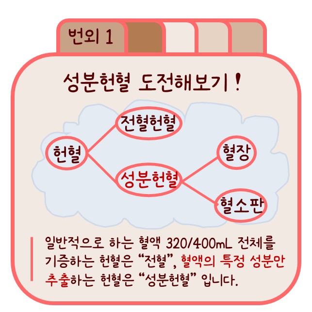 성분헌혈&조혈모세포 기증 - 헌혈입문가이드(2) [피플서포터즈] 3주차