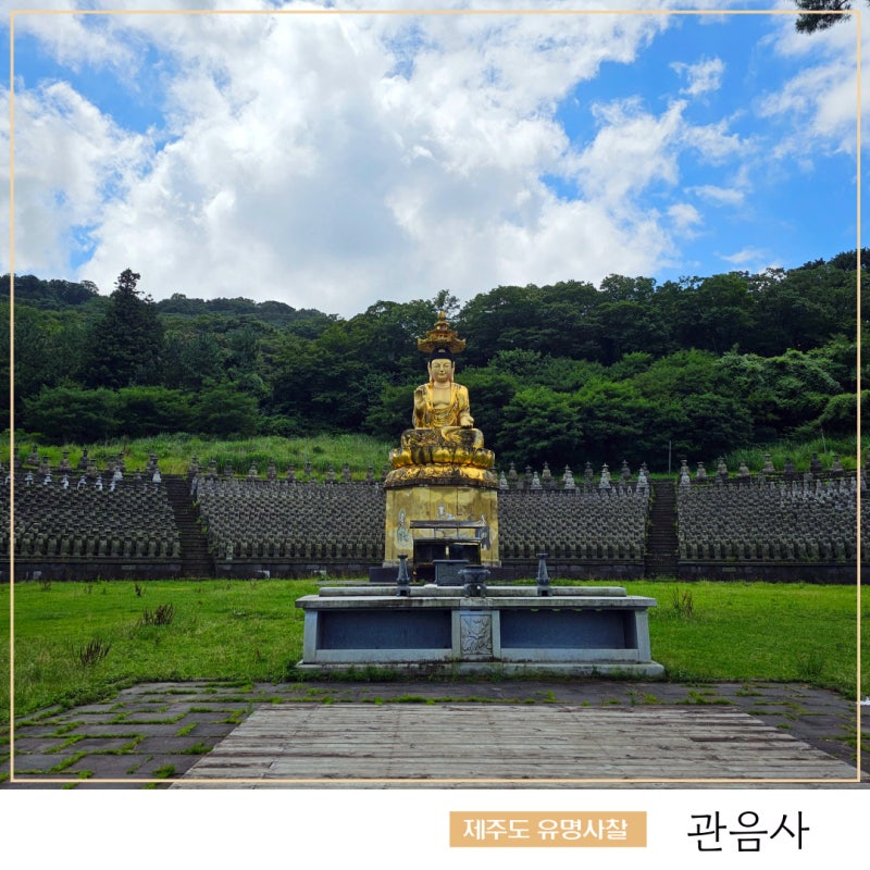 제주 유명 사찰 관음사 우영우 제주도 절 촬영지