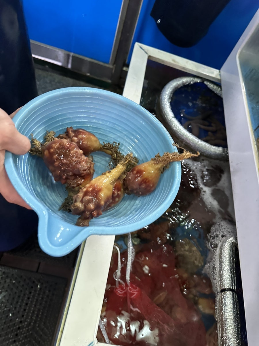 광어한마리9900 사진 3