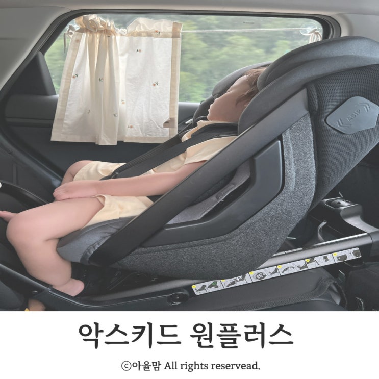  아기랑 가볼만한 곳 담양 곤충박물관 (feat 뒤보기 카시트)