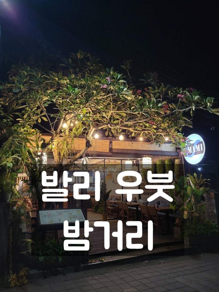  [발리여행 3일차] 동부투어 & 우붓밤산책