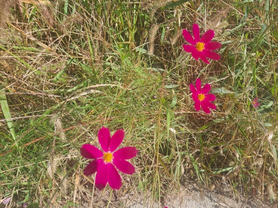 보경토옥 사진 5