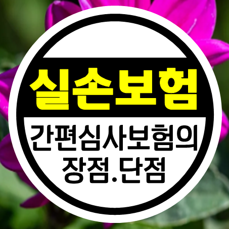  유병력자실손보험 가입 시 장점과 단점, 실비보험 가격 비교 시 주의할 점과 추천 회사 정보