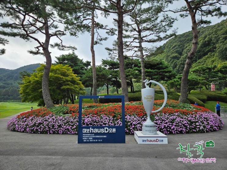 <b>KLPGA</b> 2023 대보 하우스디 오픈 갤러리 후기 - <b>엄마 골퍼</b>... 