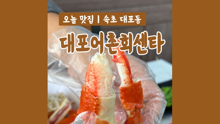 속초대포항 대포어촌회센타 속초해수욕장 근처 속초횟집 대게먹방 속초대포항 대포어촌회센타 속초해수욕장 근처 속초횟집 대게먹방