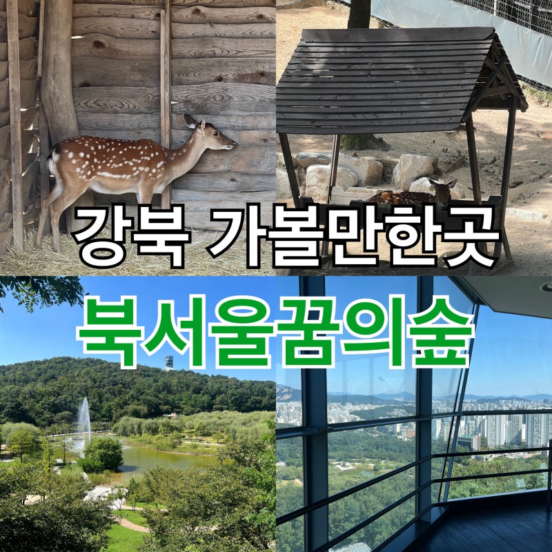 북서울꿈의숲 관람 코스 및 주차정보 (전망대, 사슴방사장, 메이린)