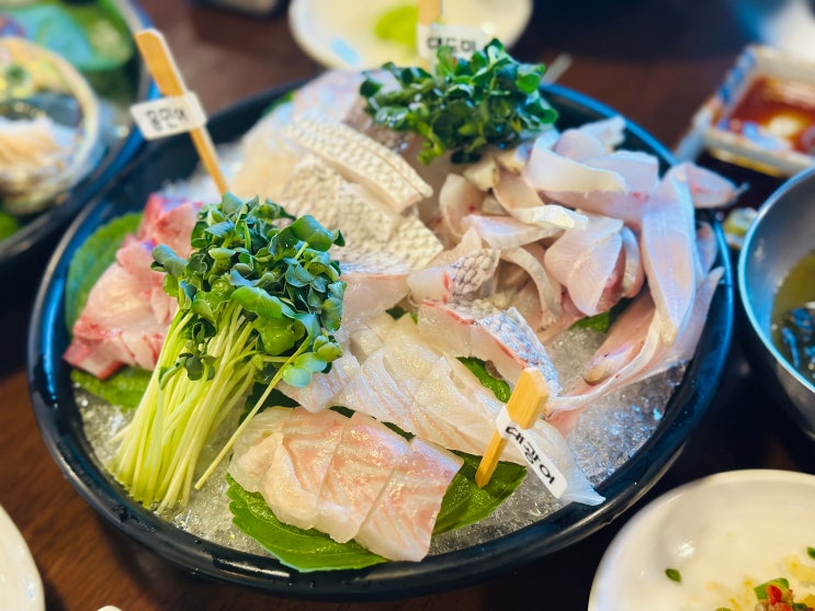 강릉 현지인 찐맛집.동해바다샾1917.살살 녹는 자연산 회로 오마카세를 즐길 수 있는 곳.포남동 횟집.