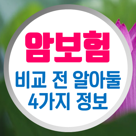  인터넷암보험 추천 : 온라인암보험 비교하기 전에 꼭 알아야 할 4가지