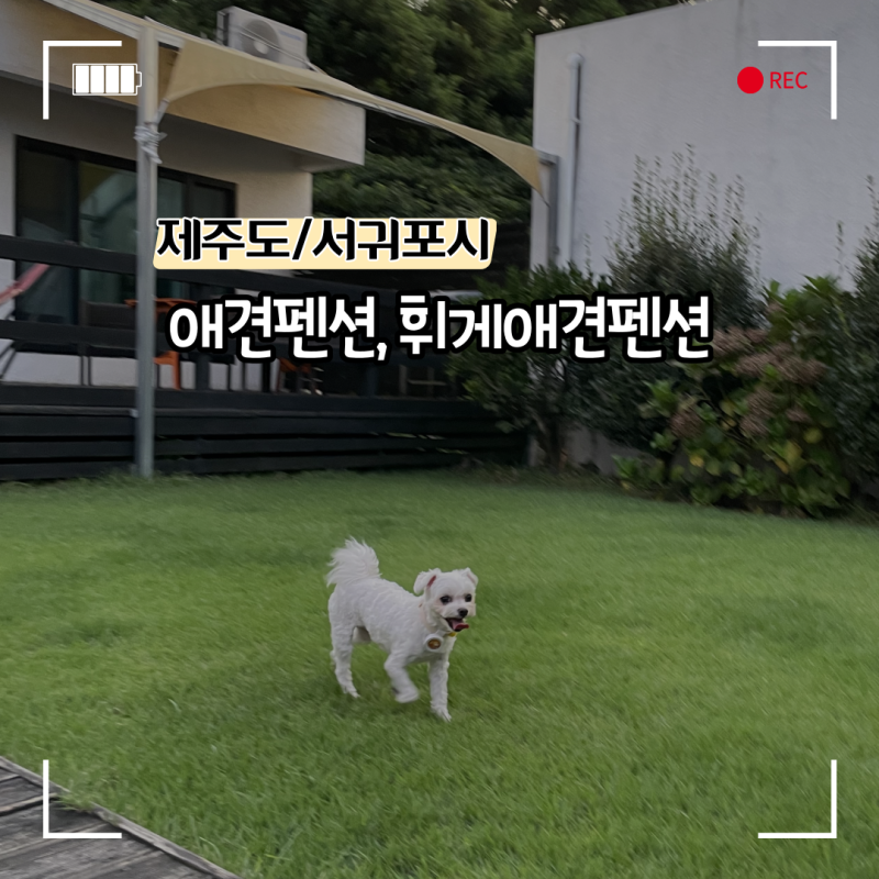 사진 3