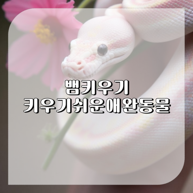 키우기 쉬운 애완동물 추천 콘스네이크,볼파이톤,블랙킹스네이크 애완 뱀 키우기