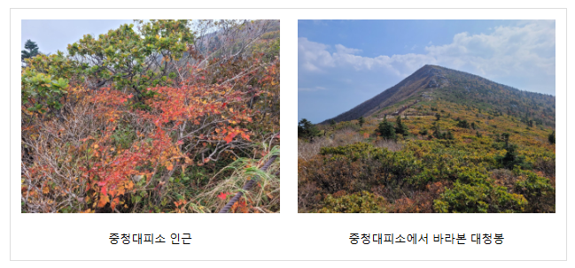 오늘(30일) 설악산 단풍 시작 오늘(30일) 설악산 단풍 시작
