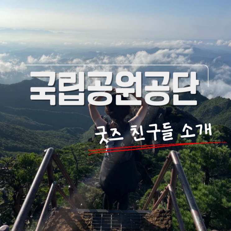 등산가방 인형 국립공원굿즈 소개 | 미우 꼬미 반달이 달콩이 등산가방 인형 국립공원굿즈 소개 | 미우 꼬미 반달이 달콩이