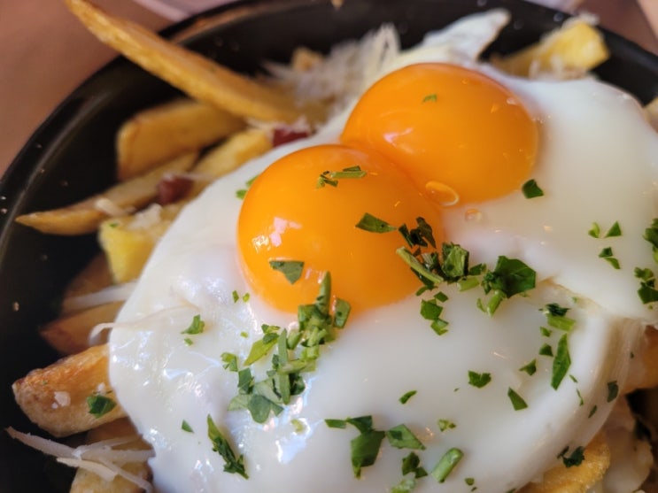  [포르투 맛집] Casa Guedes progresso 까사 구에데스 프로그레수 샌드위치 맛집