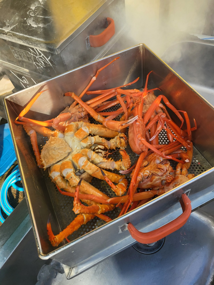  [영덕맛집] 영덕 강구항 대게식당 추천, 대게세일 초장집 킹크랩 홍게 맛집