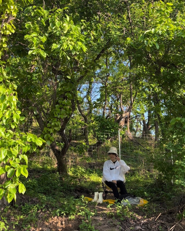  중랑구 도시농업을 꿈꾼다면? 사가정주말농장, 중랑행복망우농장 추천
