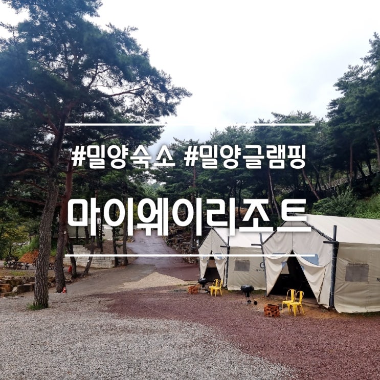 밀양 숙소] 마이웨이리조트 || 4계절 미온수 수영장이 있는 잔디동 글램핑