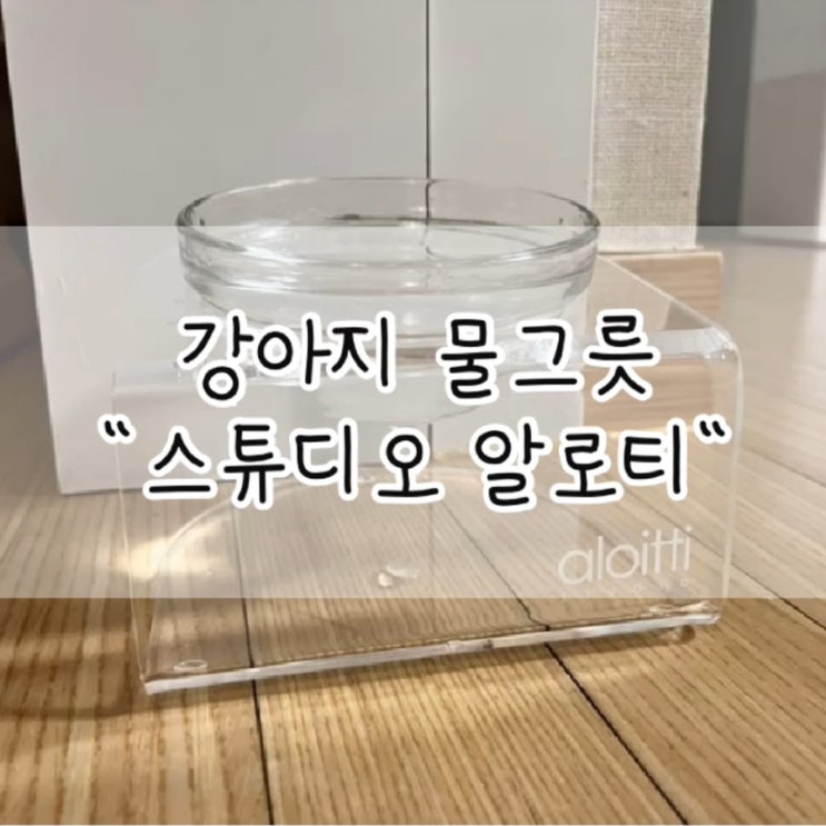  스튜디오 알로티  루미 펫테이블 / 강아지 물그릇 / 스튜디오 알로티 / 강아지 용품