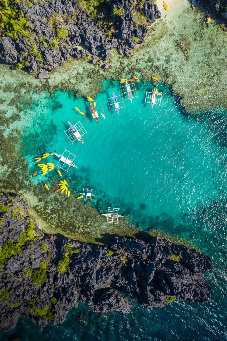  필리핀여행 백신접종증명서 이트래블 작성방법 무비자 eTravel