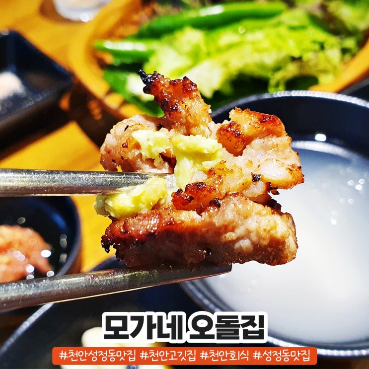 천안성정동맛집 찐인정 모가네 오돌집