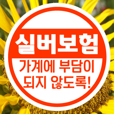  부모님실버보험 가입 종류 및 추천하는 회사만 모아서 비교할 수 있는 곳