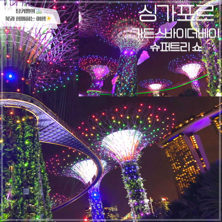  싱가포르 가든스바이더베이 슈퍼트리쇼 명당 관람후기