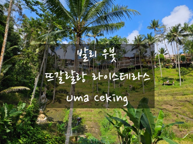  발리 우붓 뜨갈랑랑 라이스테라스: Uma Ceking