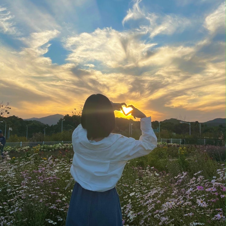  양주 나리공원, 꽃 종류 및 입장료 주차정보