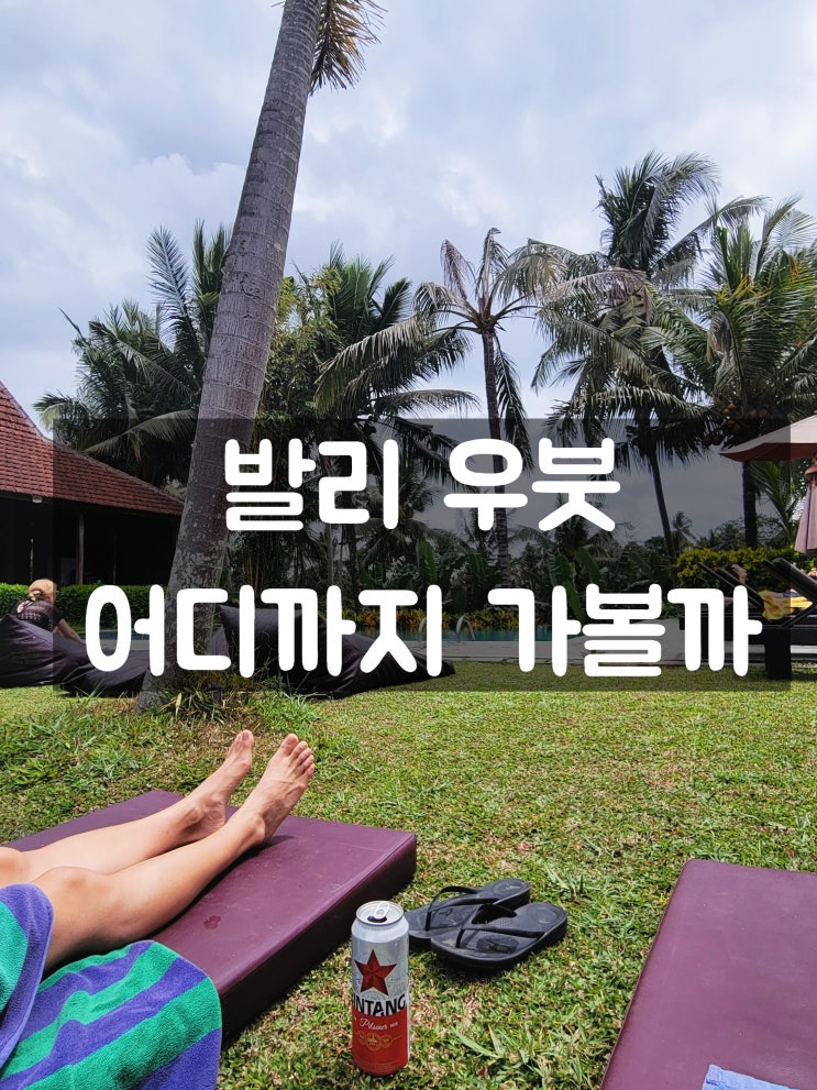  [발리여행 4일차] 몽키포레스트, 짬뿌한릿지워크, 빈땅슈퍼마켓