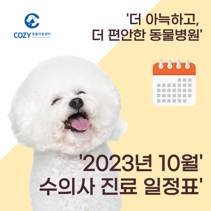 인천 논현동 동물병원 - 코지 동물의료센터 10월 진료스케쥴표