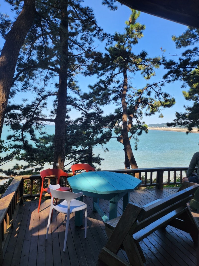 부모님과 보령 여름휴가, 죽도 상화원 산책하고 대천항에서 물회 한 그릇