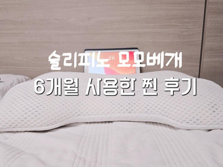  슬리피노 모모베개, 6개월 사용한 솔직후기 내돈내산