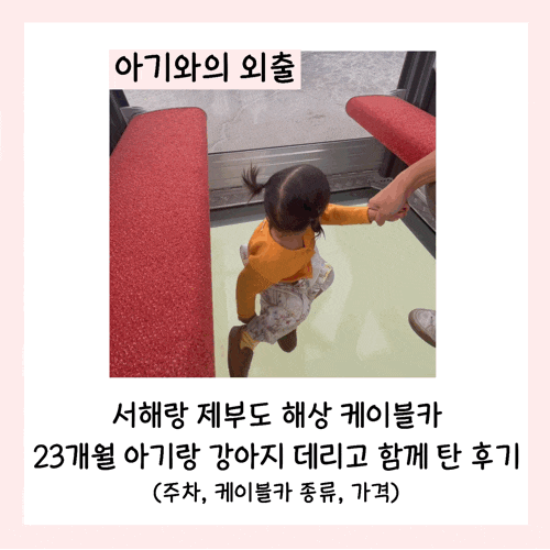  서해랑 제부도 해상 케이블카 23개월 아기랑 강아지 데리고 함께 탄 후기(주차, 케이블카 종류, 가격)
