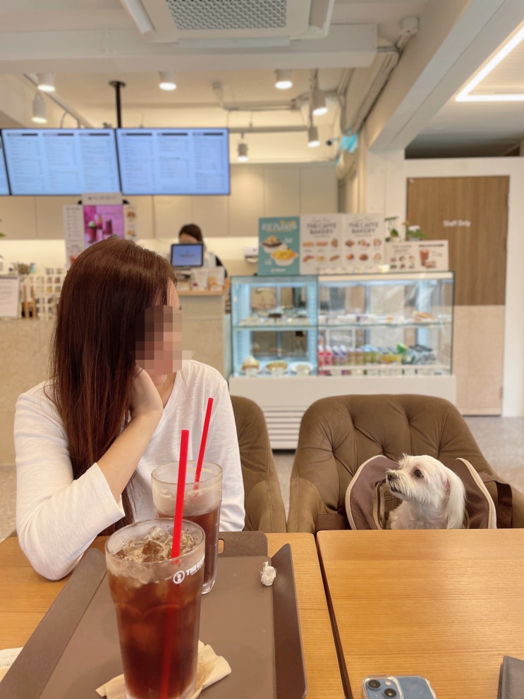  성대시장 반려동물 동반 가능 카페 [ 더 카페 ]