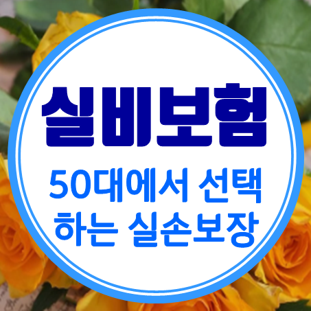  50대 실비보험 가격 비교 시 알아둘 가입 조건과 추천 회사 소개