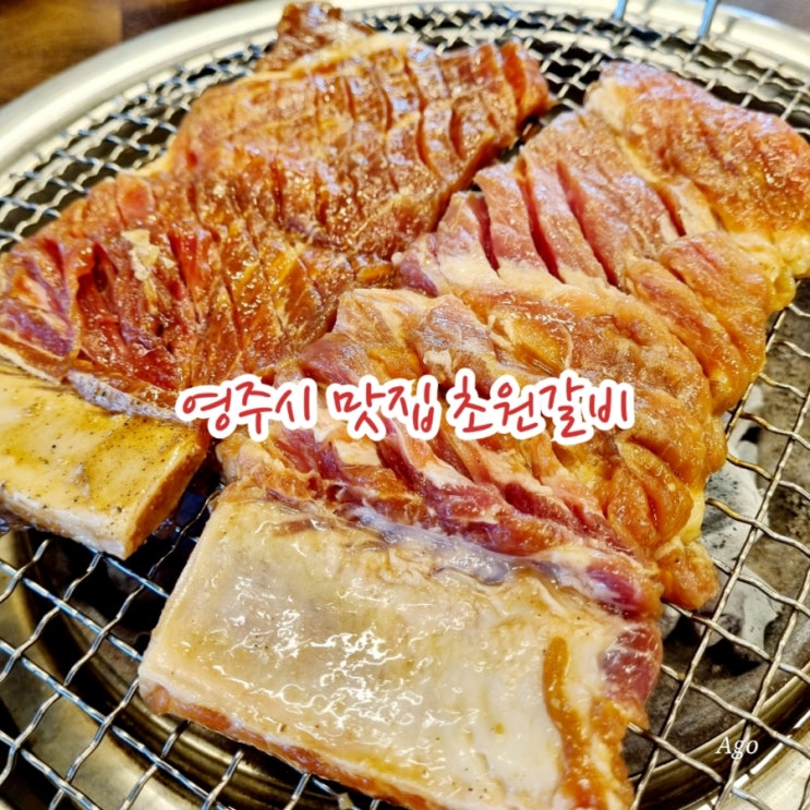  영주시 맛집 초원갈비 feat 문정동 갈비 맛집
