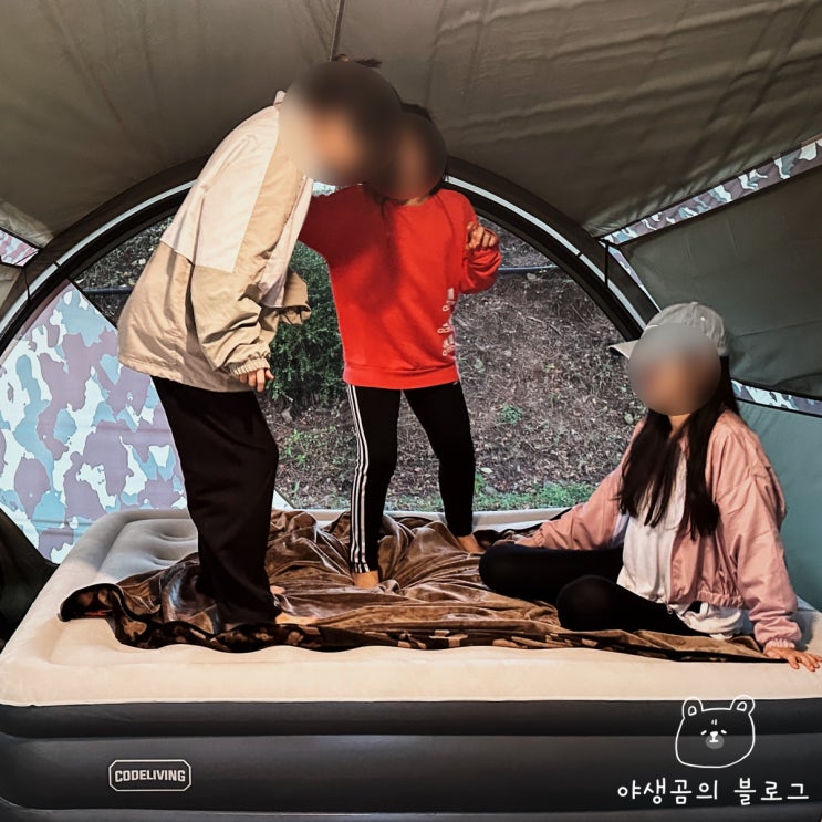  튼튼한 캠핑 에어매트 코드리빙 AIM-1-GR 자충매트더블 에어펌프까지