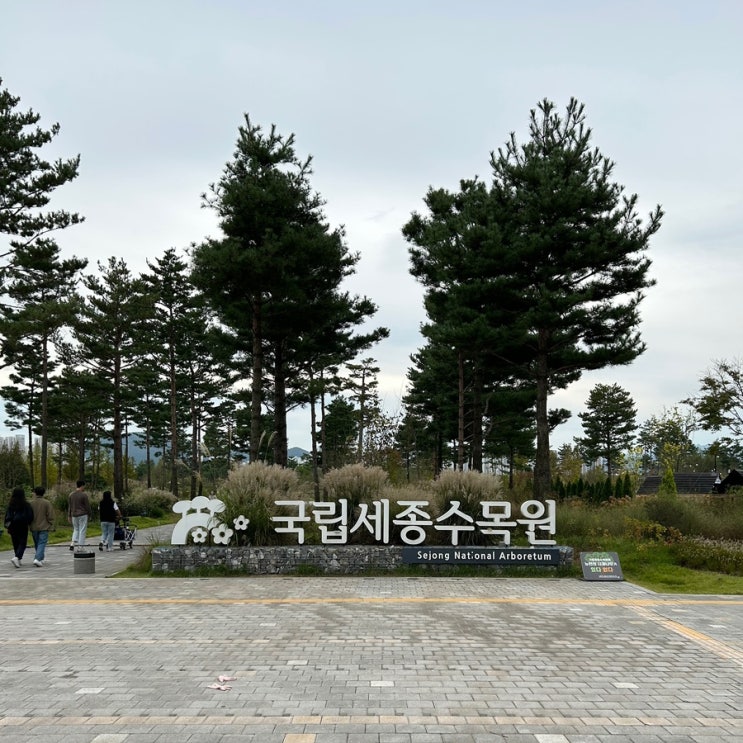  세종 도심 속 정원 | 걷기 좋고 분위기 좋은 국립세종수목원 (휠체어 및 유모차 대여, 수유실)
